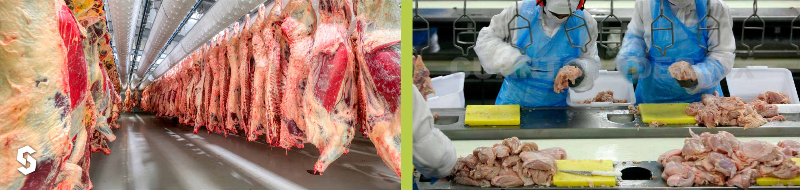 Control de plagas para la Industria de alimentos 1