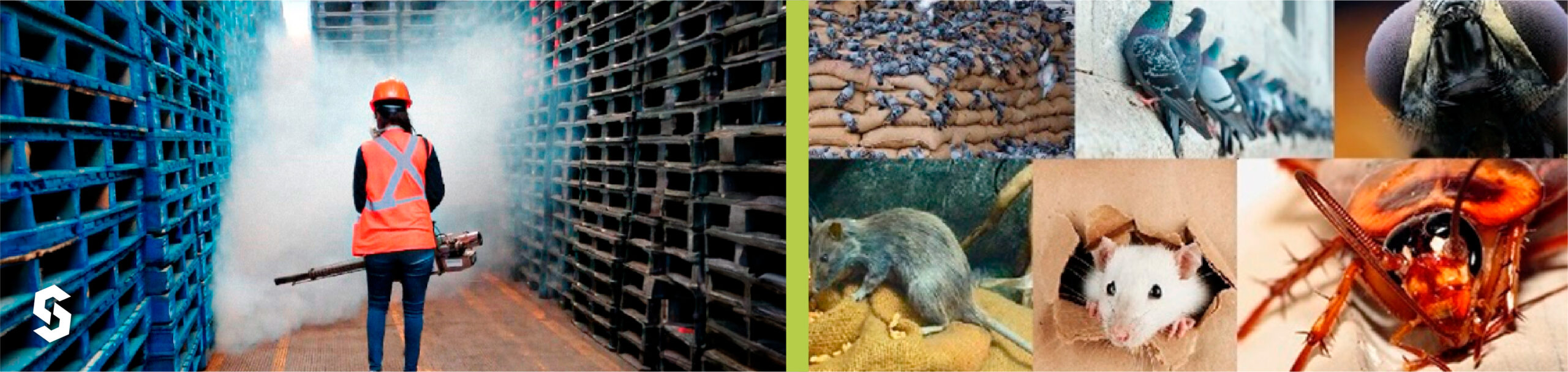 Control de plagas para la Industria de alimentos 3